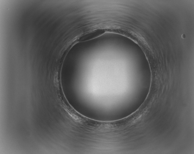 X0000073920881200608251546