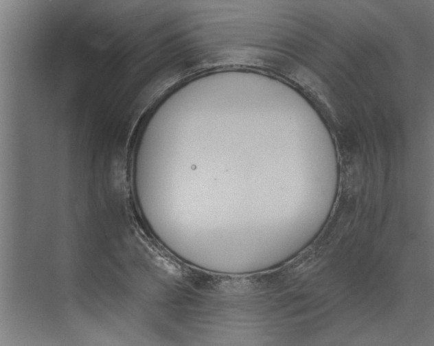 X0000073920882200608251546