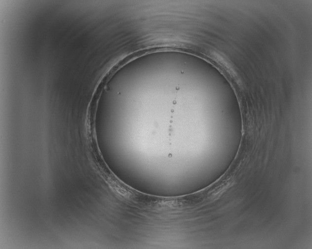 X0000073920883200608251546