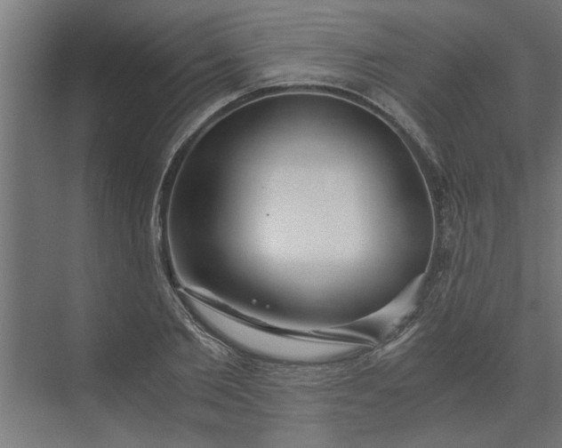 X0000073920885200608251546