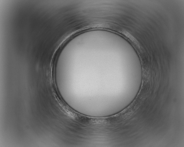 X0000073920886200608251546