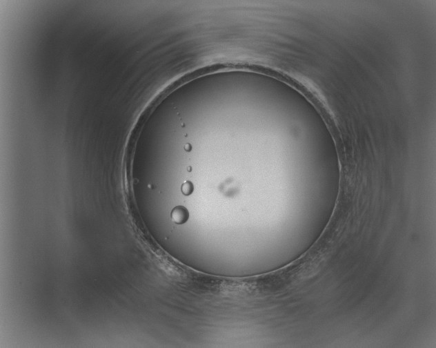 X0000073920887200608251546