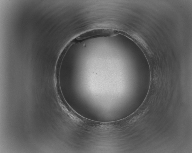 X0000073920888200608251546