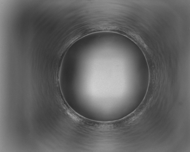 X0000073920889200608251546