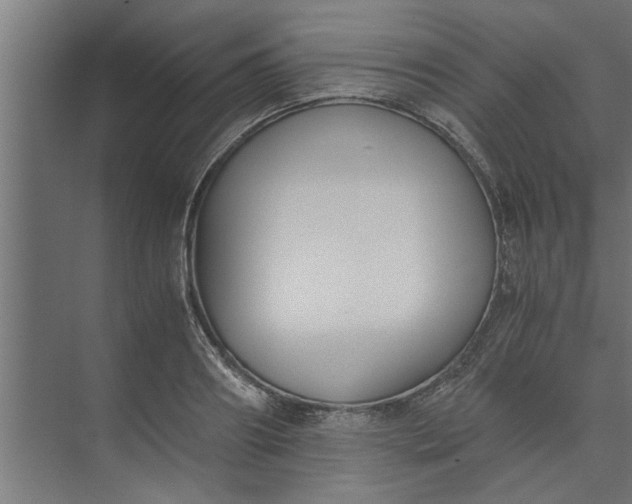 X0000073920890200608251546