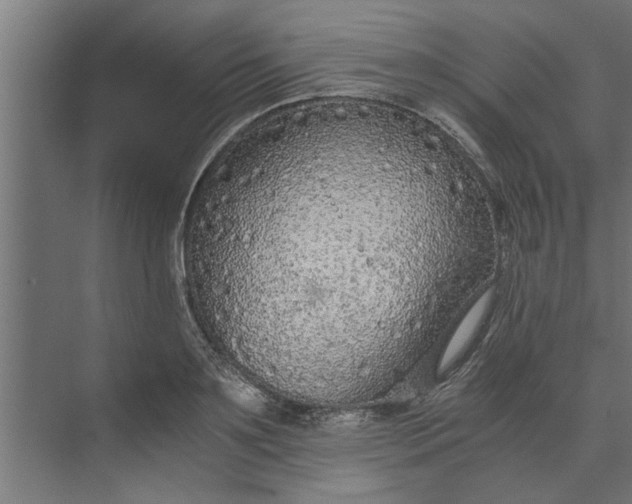 X0000073920891200608251546