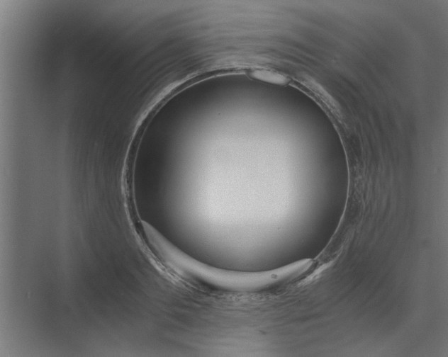 X0000073920893200608251546