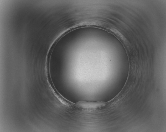 X0000073920894200608251546