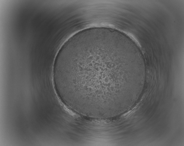 X0000073920895200608251546