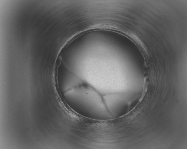 X0000073920896200608251546