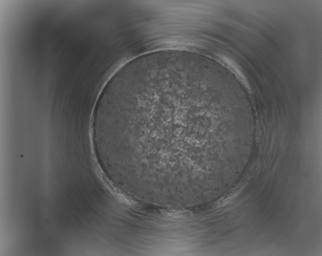 X0000073920899200608251546