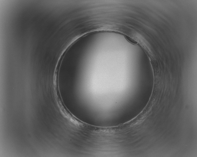 X0000073920900200608251546