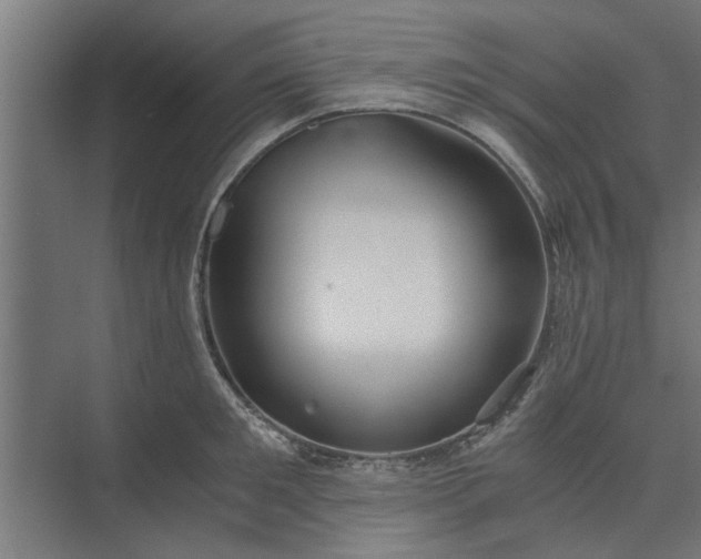 X0000073920901200608251546