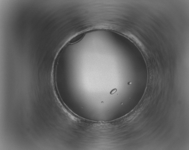 X0000073920902200608251546