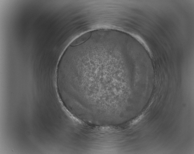 X0000073920903200608251546