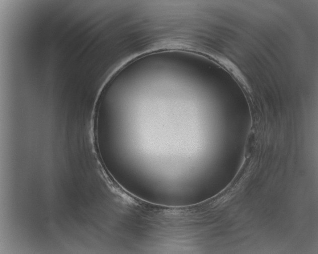 X0000073920904200608251546