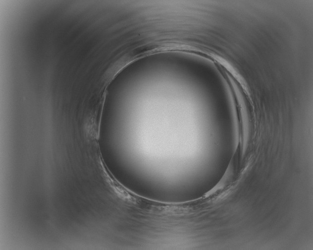 X0000073920905200608251546