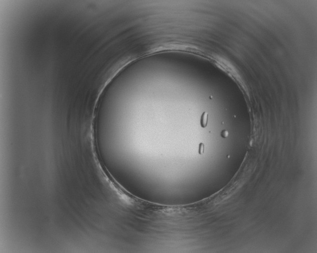 X0000073920906200608251546