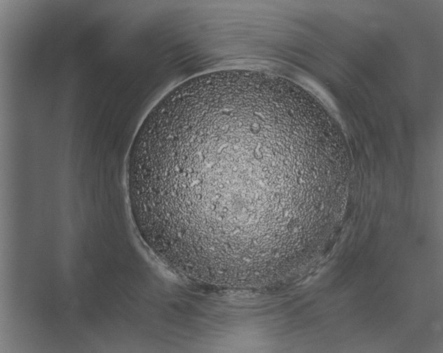 X0000073920907200608251546