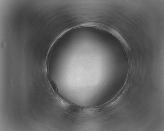 X0000073920908200608251546