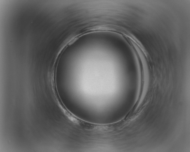 X0000073920909200608251546