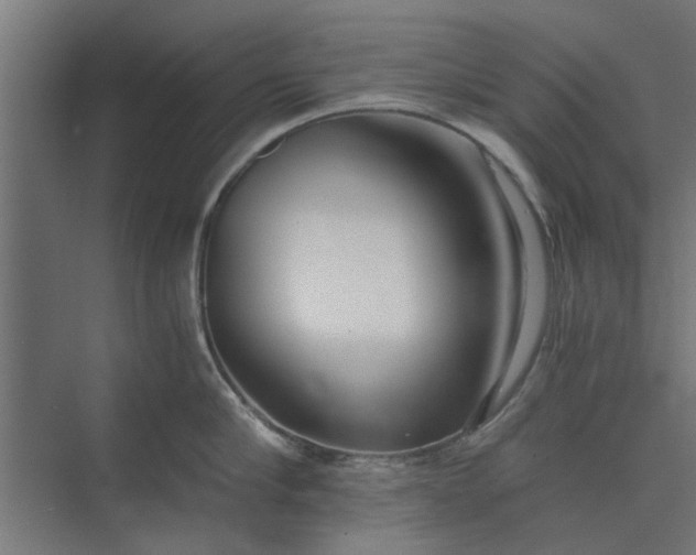 X0000073920910200608251546