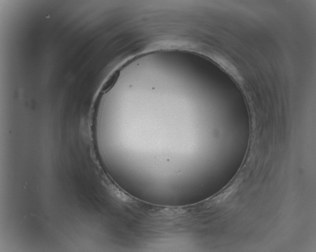 X0000073920912200608251546