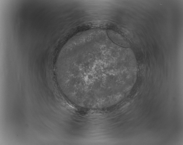 X0000073920913200608251545