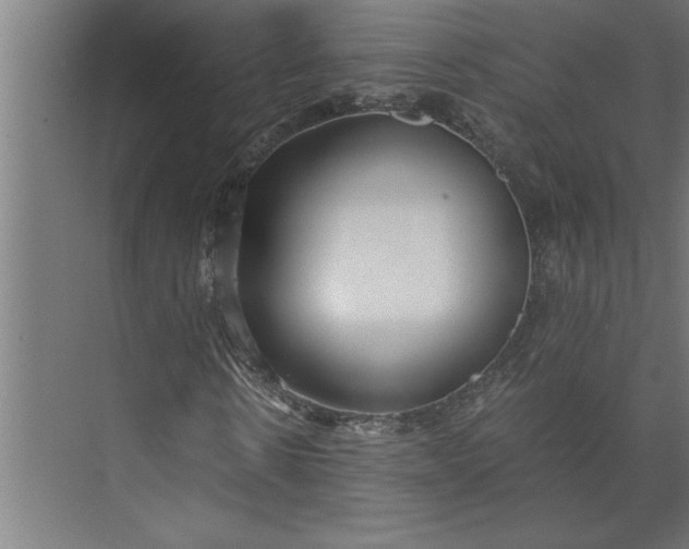 X0000073920914200608251545