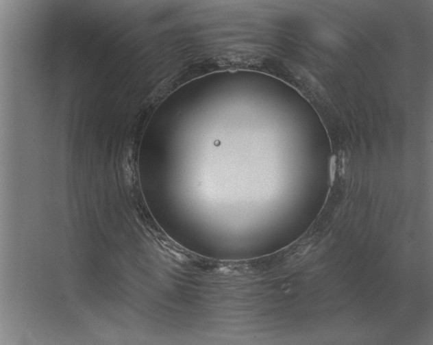 X0000073920915200608251545