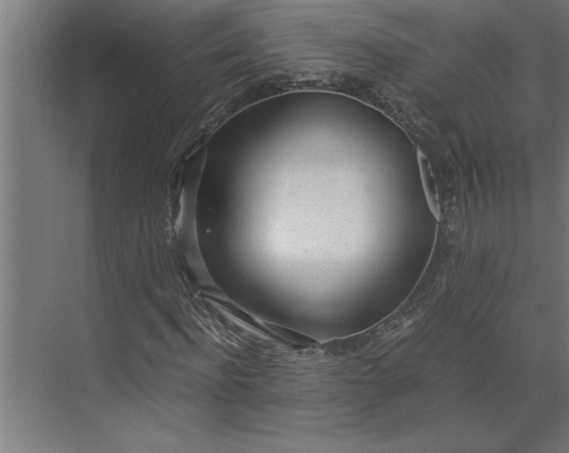 X0000073920916200608251545