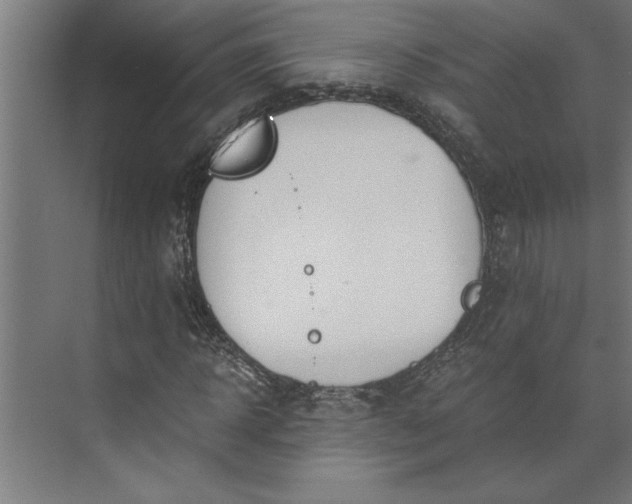 X0000073920918200608251545