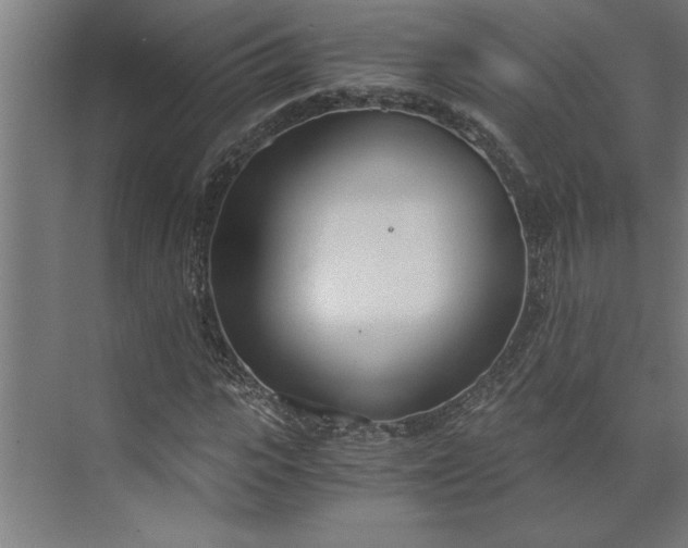 X0000073920919200608251545