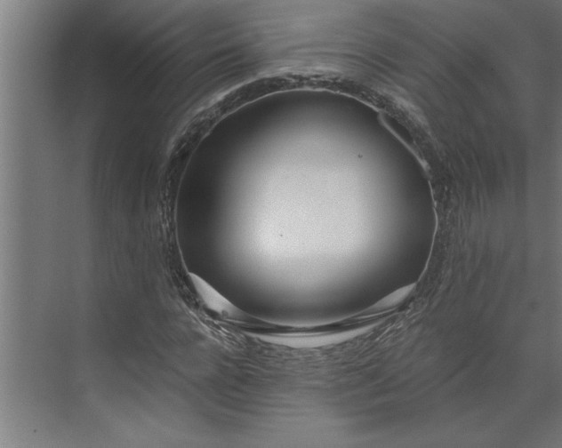 X0000073920920200608251545