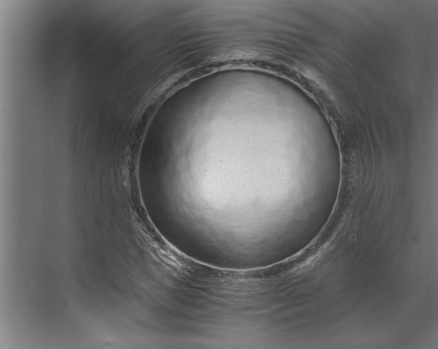 X0000073920921200608251545