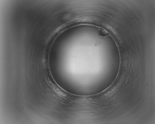 X0000073920922200608251545