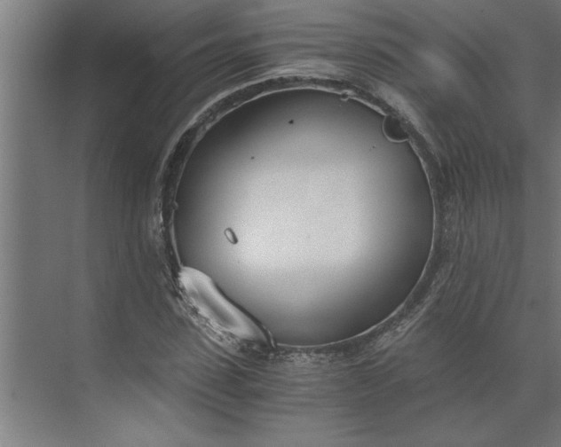 X0000073920923200608251545