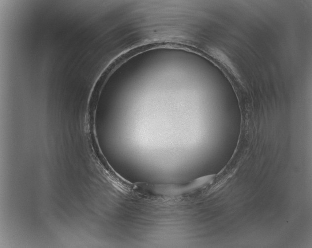 X0000073920924200608251545