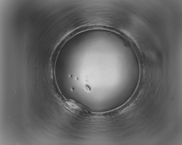 X0000073920925200608251545