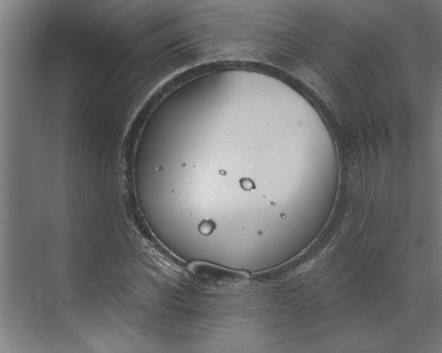 X0000073920926200608251545