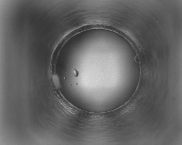 X0000073920927200608251545