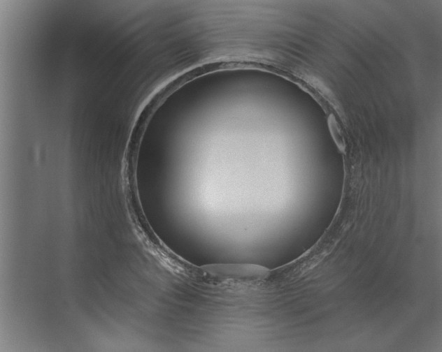 X0000073920928200608251545