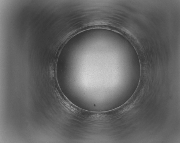 X0000073920929200608251545