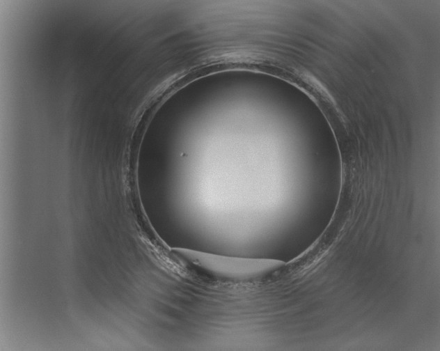 X0000073920930200608251545