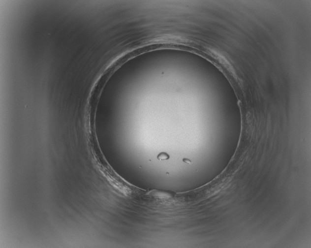 X0000073920931200608251545