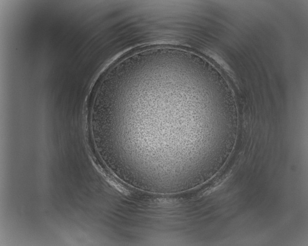 X0000073920933200608251545