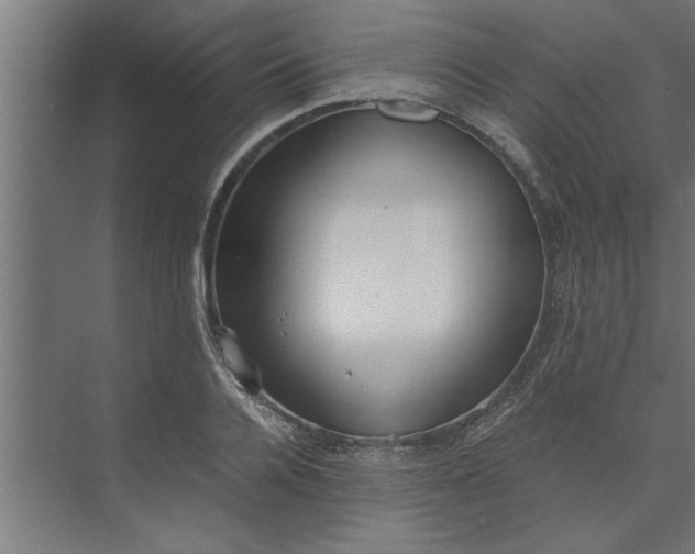 X0000073920936200608251545