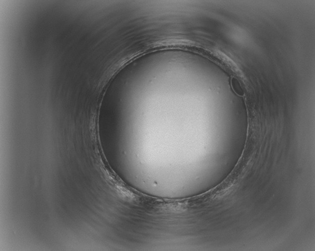 X0000073920937200608251545