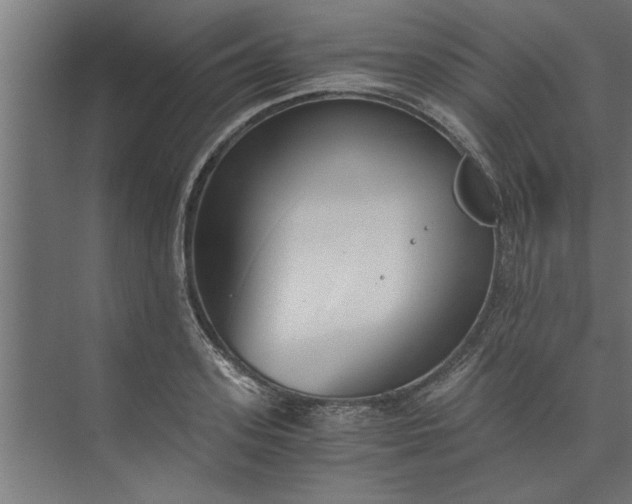 X0000073920939200608251546