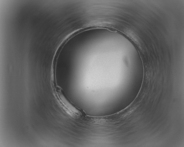 X0000073920940200608251546